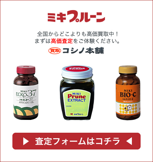 ミキプルーン エコー37 アスプリプラス 4mTDd-m66246635378 | icofa.com
