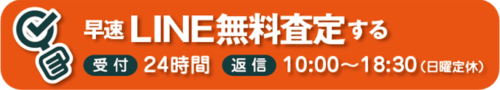 ワールド・レップ・サービスのミネラルKSイオンソープをはじめとした